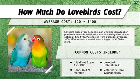 **$199 Lovebird Bonanza: Unlocking the True Cost of Love**