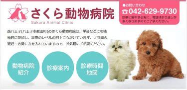 **【保存版】えぐち動物病院の徹底ガイド！費用や診療科目から口コミ・評判まで網羅**