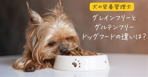 **餌とご飯の違い：犬の栄養管理における重要なポイント**