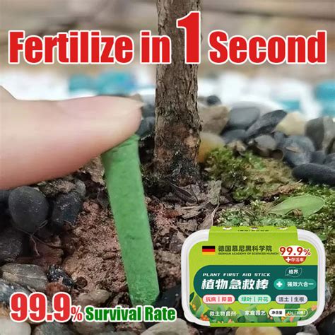 **6 Starting Fertilizers for Healthy Plant Growth**