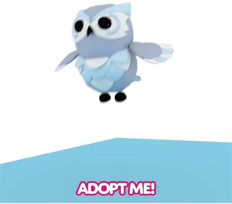 **Adopt Me 101: Everything You Need to Know About Adopting an Owl**