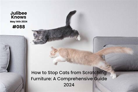 **Beat the Battle: A Comprehensive Guide to Stop Cats from Scratching Furniture**