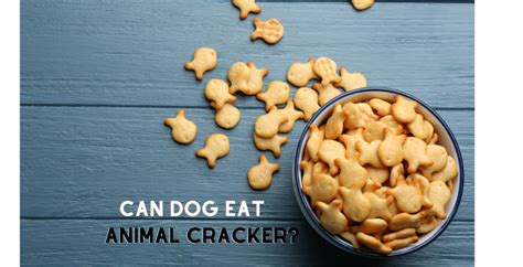 **Can Dogs Have Animal Crackers? A Comprehensive Guide**