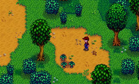 **Cindersap Forest Stardew Valley: The Ultimate Guide to Harvest Moon's Enchanted Wilderness**