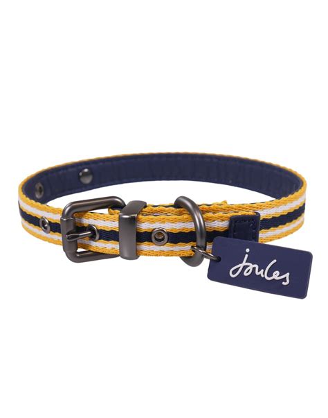 **Coastal Dog Collars: Your Essential Guide to Protection and Style for Your Canine Companion**