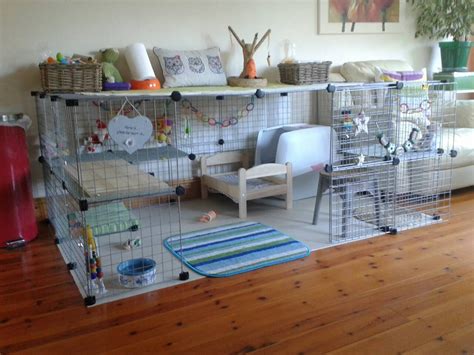 **Creating the Perfect Rabbit Hideout: A Step-by-Step Guide for a Safe and Cozy Environment**