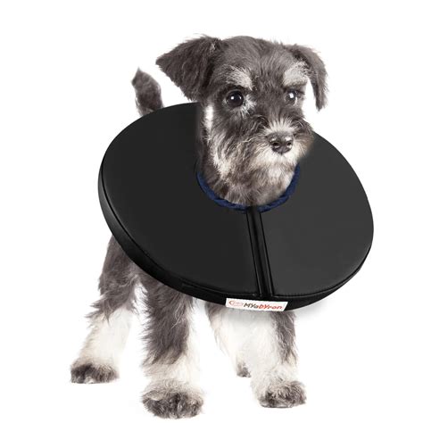 **Dog Cone Petco: A Comprehensive Guide for Pet Owners**