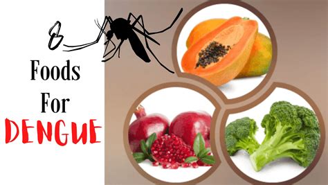 **Eating Your Way to Dengue Recovery: A Culinary Guide**