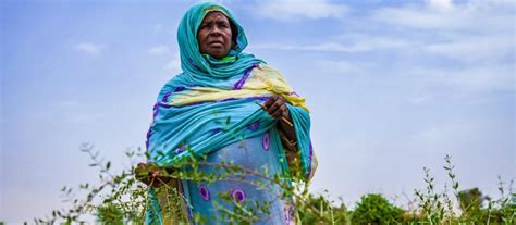 **Empowering Jordanian Women: Advancing Progress, Unleashing Potential**