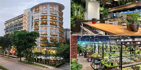 **Far East Flora Clementi Road: A Comprehensive Guide to Singapore's Largest Plant Emporium**