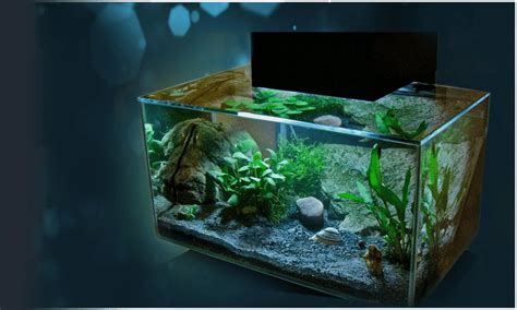 **Fluval Aquariums: The Ultimate Guide to High-Performance Aquatics**