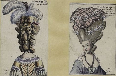 **French Powder Wigs: A History of Extravagance and Style**