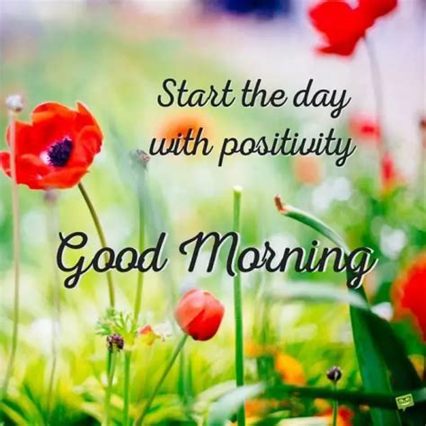 **Good Morning, Tuesday: Start Your Day with Positivity and Purpose**