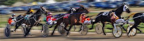 **Harness Racing Results: A Comprehensive Guide to Betting, Strategies, and Winners**