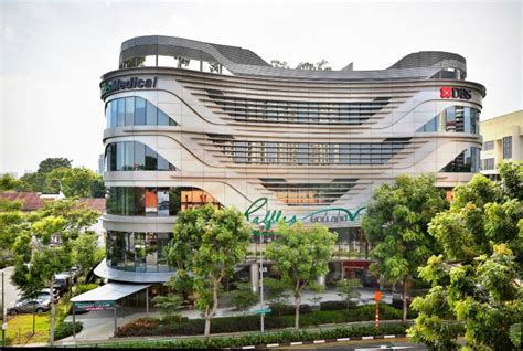 **Holland Village Raffles Medical: Your Guide to Comprehensive Healthcare in Singapore**