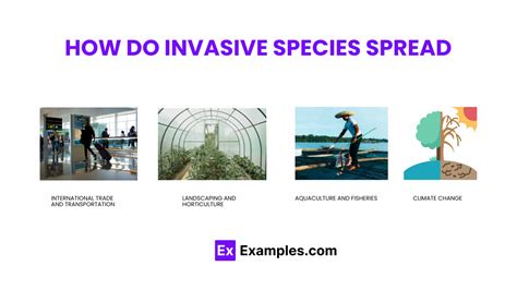 **Infested: The Alarming Spread of Invasive Species**