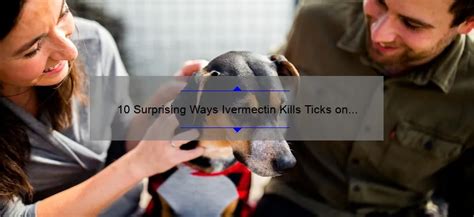 **Ivermectin Tick Chew: A Comprehensive Guide for Effective Tick Control**