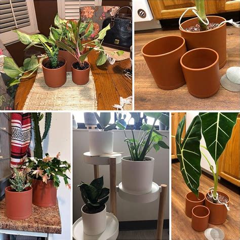 **Materials and Types of Indoor Pots**