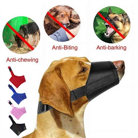 **Muzzle Dogs: A Comprehensive Guide to Responsible Pet Ownership**