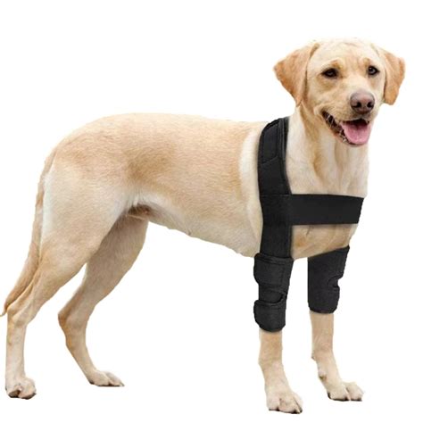 **Navigating the Challenges of Elbow Dysplasia in Dogs: A Comprehensive Guide to Front Leg Braces**