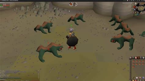 **OSRS Basilisk Knights: A Comprehensive Guide to Defeating These Deadly Creatures**