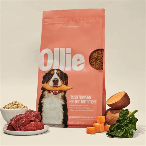 **Ollie Dog Food: The Ultimate Guide to Nourishing Your Furry Best Friend**