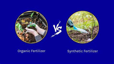 **Organic Fertilizer vs. Synthetic Fertilizer: The 10,000+ Character Showdown**