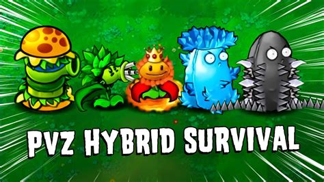 **PVZ Hybrid Slot Mavchoine: A Comprehensive Guide to the Fantastic Slot Game**