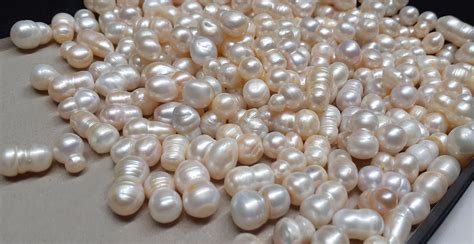 **Pearls: A Natural Wonder**