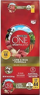 **Purina ONE: Unleashing the Power of Natural Nutrition for Your Furry Companions**