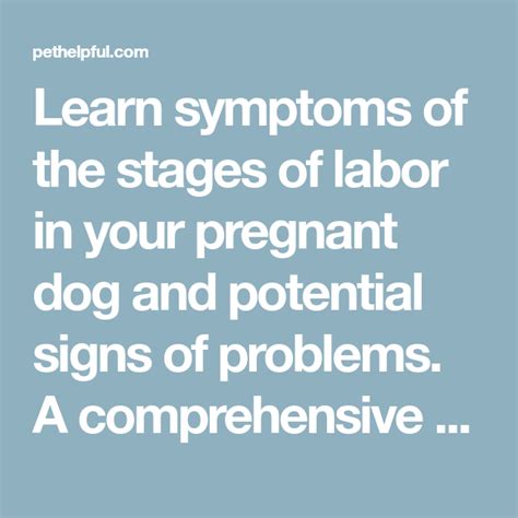 **Recognizing the Unmistakable Signs of Labor in Dogs: A Comprehensive Guide for Pet Owners**