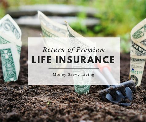 **Return of Premium Insurance: Get 100% of Your Money Back with a 20-Year Policy**