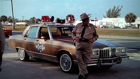 **Smokey and the Bandit Sheriff: 50-State Pursuit**