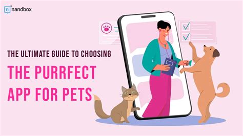 **Star and Nina: The Ultimate Guide to a Purrfect Duo**