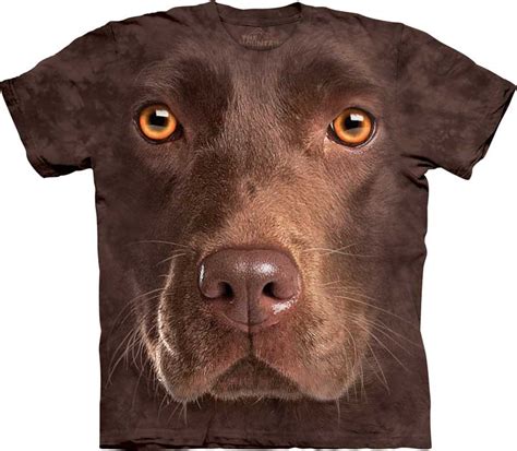 **Table 1: The Benefits of Wearing a Chocolate Lab Shirt**