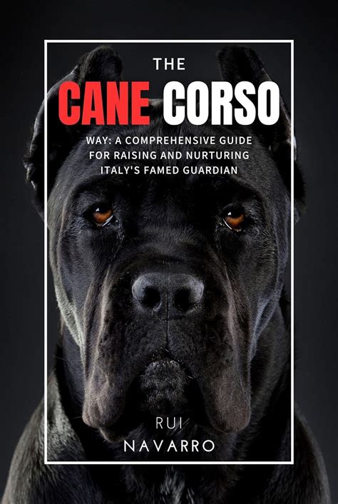 **The All-Black Cane Corso: A Comprehensive Guide to the Stealthy Guardian**