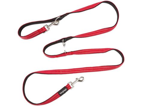 **The Comprehensive Guide to Chain Dog Leads: A Deeper Understanding and Practical Usage**