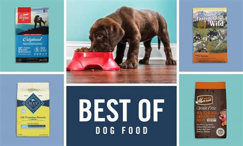 **The Definitive Guide to Choosing the Best Dog Food for a Healthy and Happy Pup in 2024**