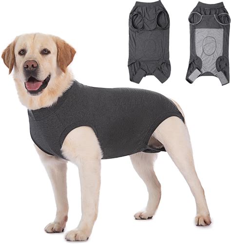 **The Doggie Onesie: A Post-Surgery Superhero's Secret Weapon**