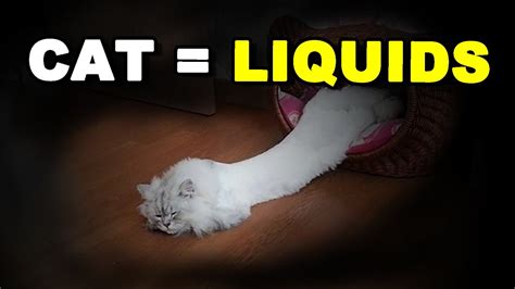 **The Feline Paradox: Cats Are Liquid**