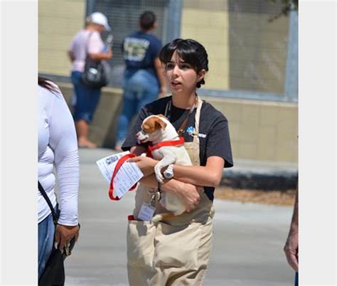 **The Lake Elsinore Animal Shelter: A Haven for Helpless Animals**