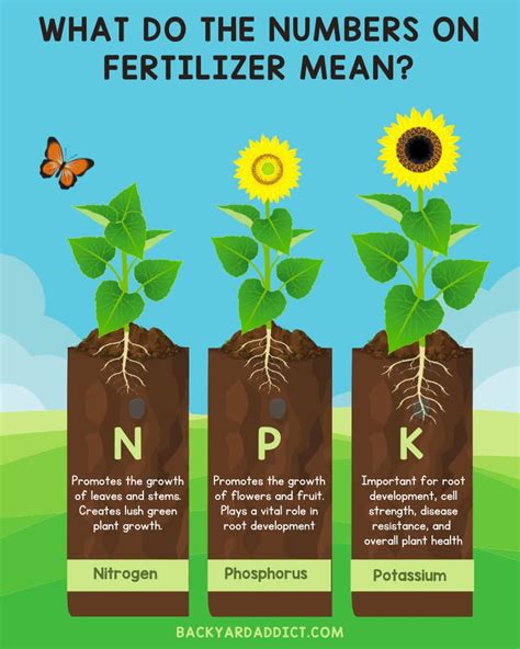 **The Power of Compost Fertilizers: By the Numbers**