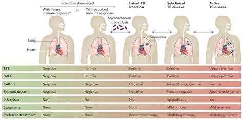 **The Truth Behind ****TB**** and Why ****PB**** Matters**