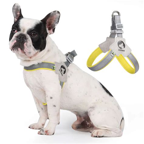 **The Ultimate Guide to Body Leashes for Small Dogs: Ensuring Comfort and Control**