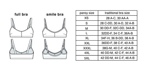 **The Ultimate Guide to Bras: Exploring the World of 34 D**