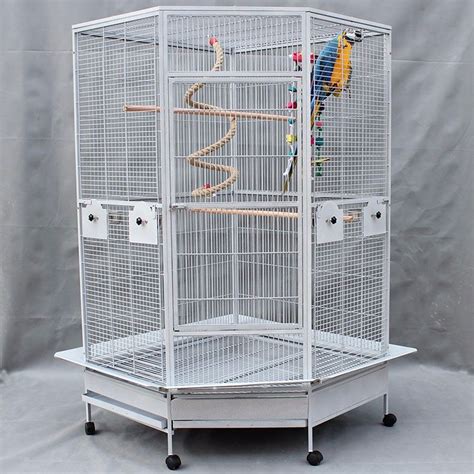 **The Ultimate Guide to Choosing the Perfect Huge Parrot Cage**