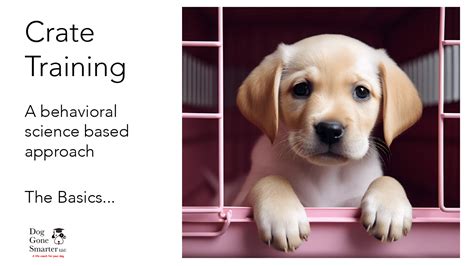 **The Ultimate Guide to Crate Training for Small Dogs: A Comprehensive Resource**