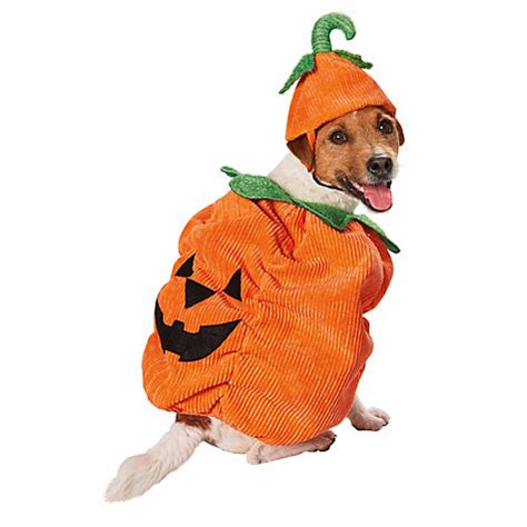 **The Ultimate Guide to Dog Pumpkin Suits: A Fun and Festive Way to Dress Your Furry Friend**