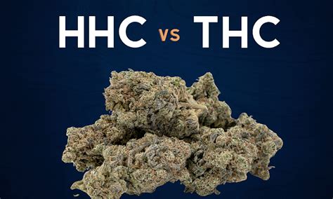 **The Ultimate Guide to HHC vs THC: Understanding the Differences and Making the Right Choice**