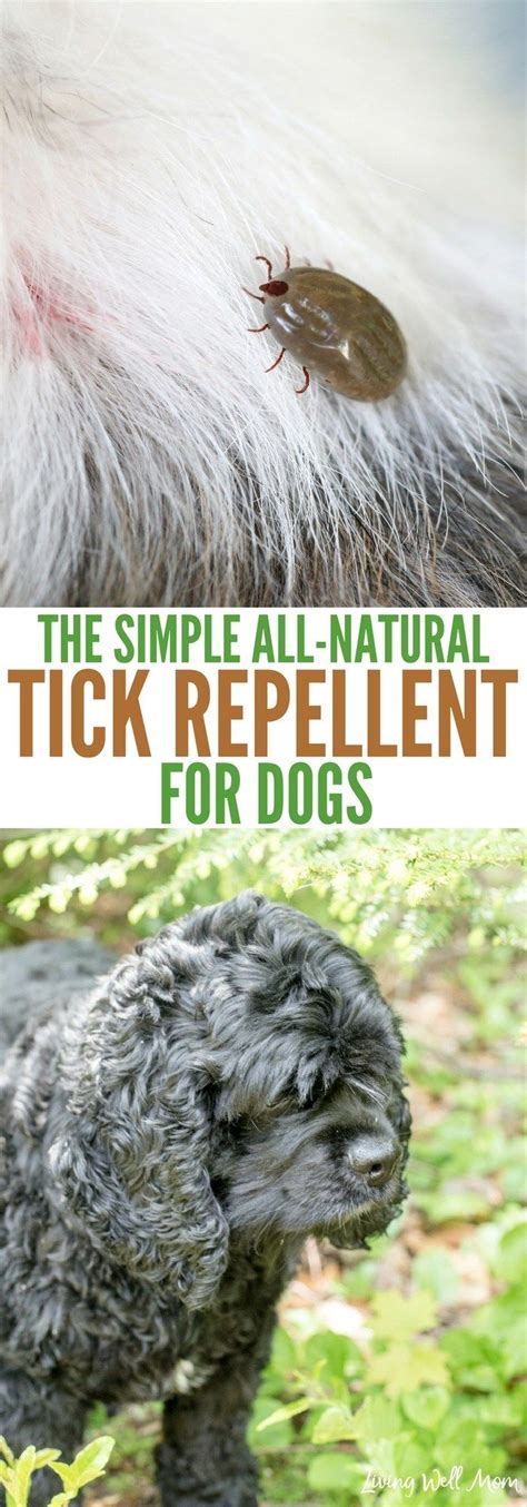 **The Ultimate Guide to Keeping Ticks Away from Your Pup: Natural Tick Repellent for Dogs**